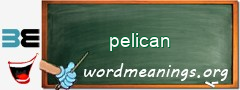 WordMeaning blackboard for pelican